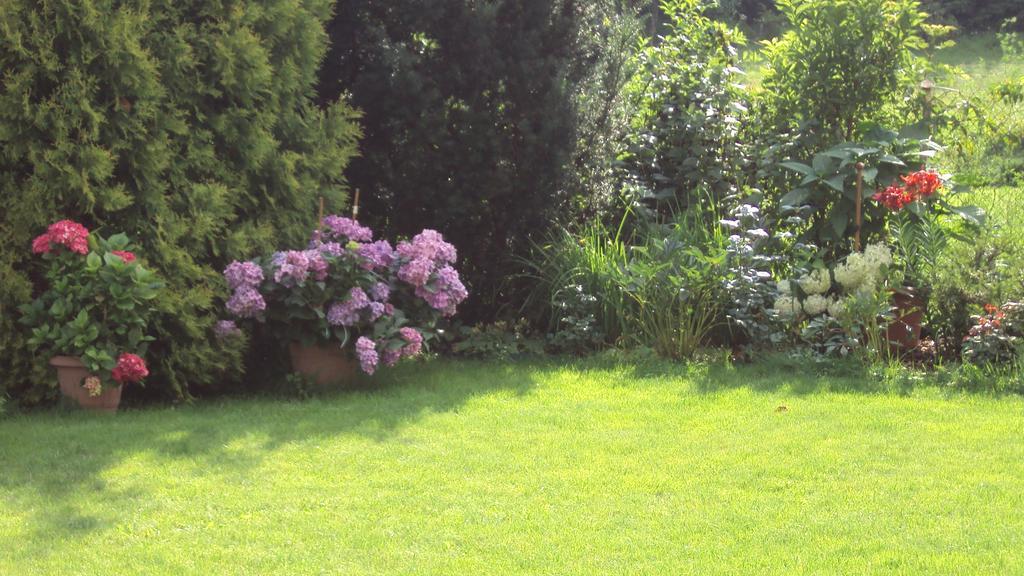 As Gosciniec Lägenhet Mikołajki Exteriör bild